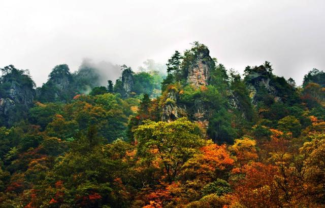 金秋時節到重慶城口賞如畫風景 品飄香瓜果