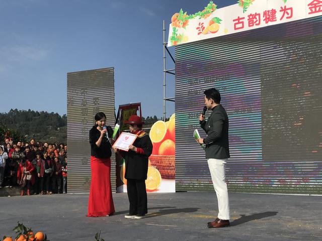 乡村振兴看犍为 四川犍为第三届柑橘文化旅游节开幕