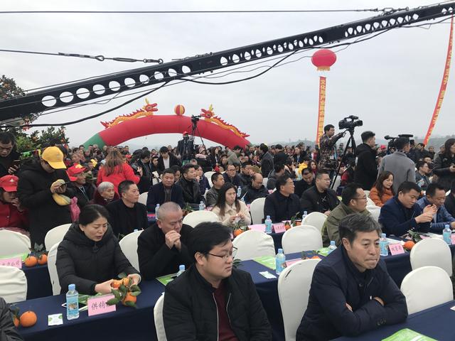 乡村振兴看犍为 四川犍为第三届柑橘文化旅游节开幕
