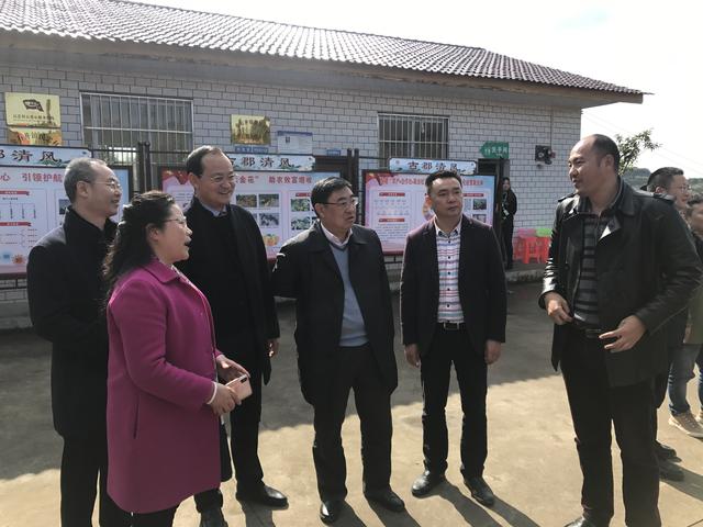 乡村振兴看犍为 四川犍为第三届柑橘文化旅游节开幕
