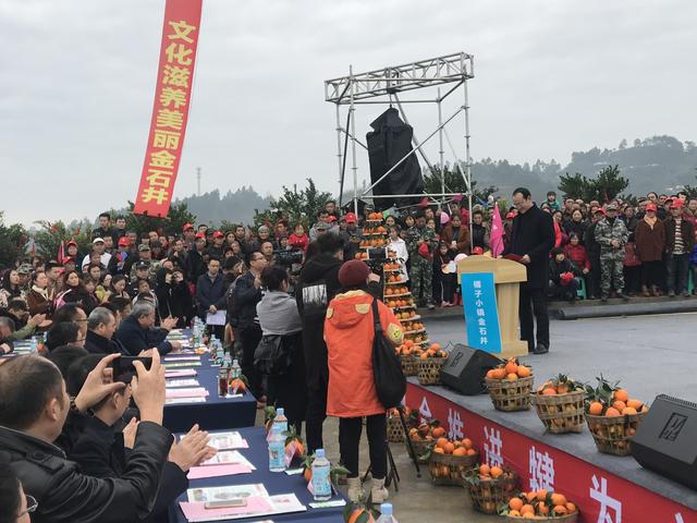 乡村振兴看犍为 四川犍为第三届柑橘文化旅游节开幕