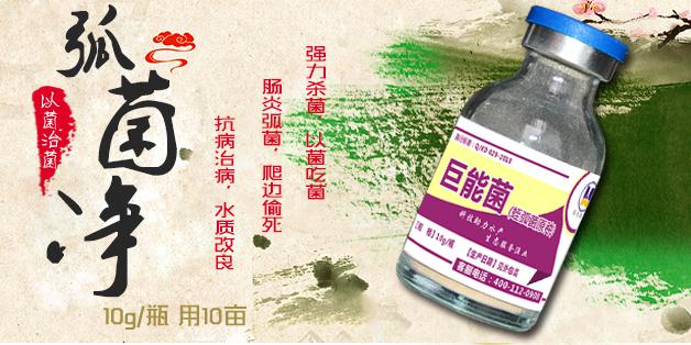圖片1.jpg