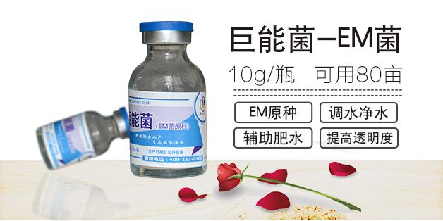 圖片2.jpg