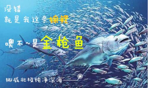 关于丸美眼霜 你知道这些吗？