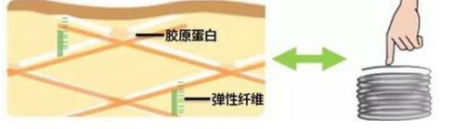关于丸美眼霜 你知道这些吗？