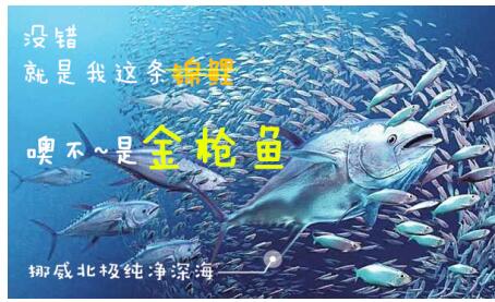 我就纳闷，凭什么各大明星专家都在安利这支丸美眼霜！