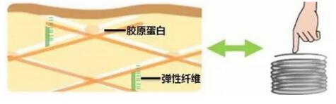 我就纳闷，凭什么各大明星专家都在安利这支丸美眼霜！