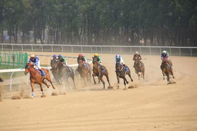 “一馬當先”！2019中國·武漢速度賽馬公開賽正式開鑼