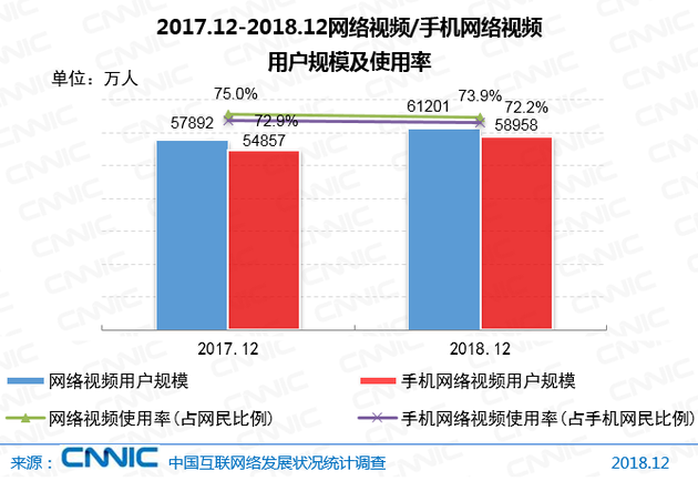 网络视频用户规模