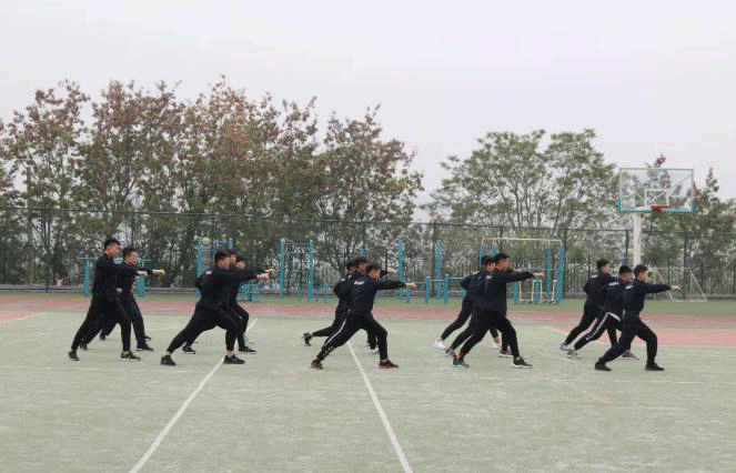 图片4