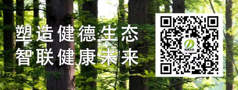 圖片9