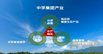 整合醫學資源，攜精英共創健康生活