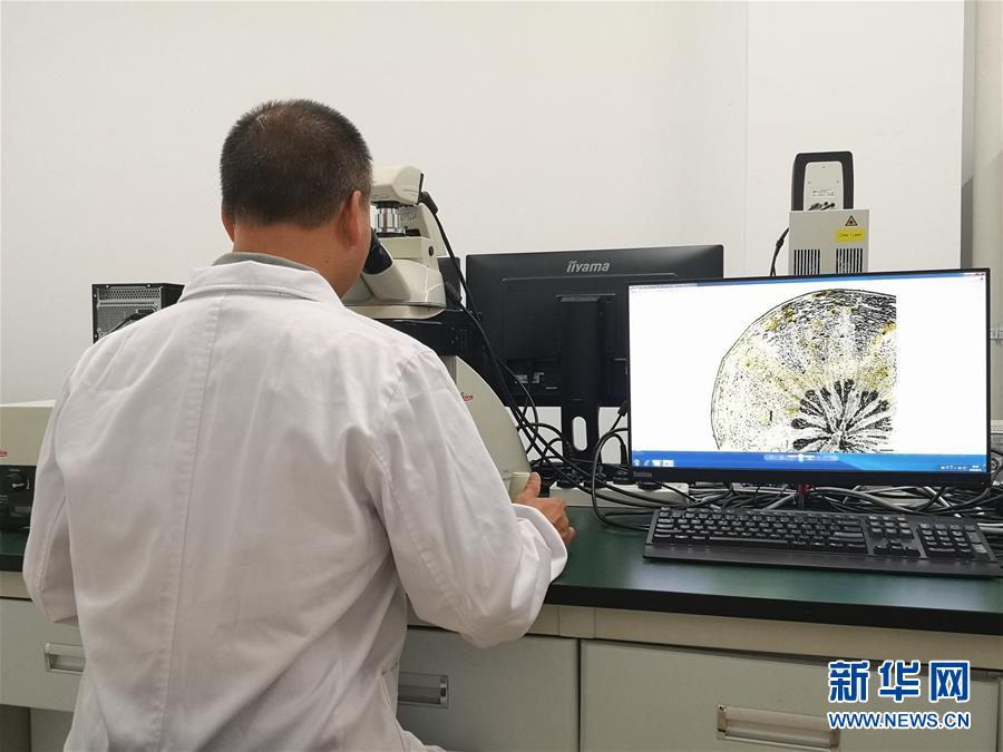 （新华调查·新中国考古重大发现·图文互动）（5）海昏侯：不仅仅是“黄金大墓”