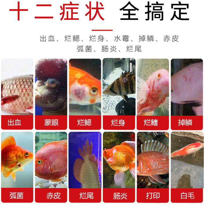 圖片7.png