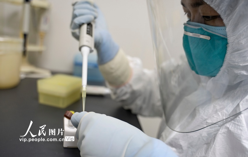 直面病毒的幕后檢測者