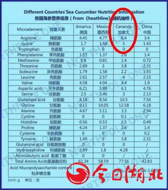 海參2.jpg