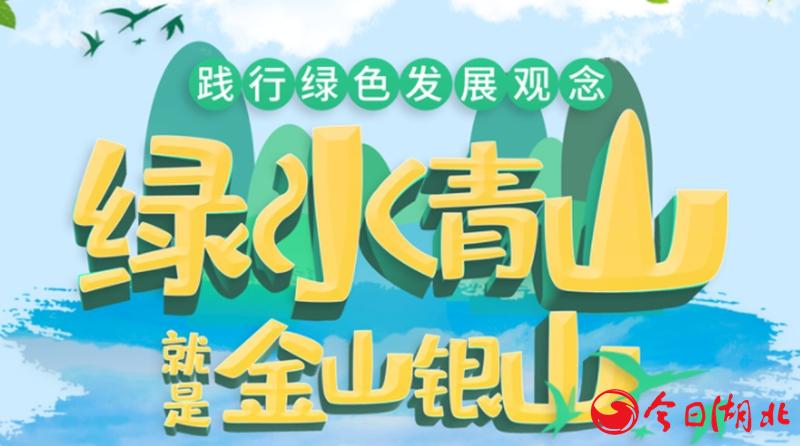 图片11