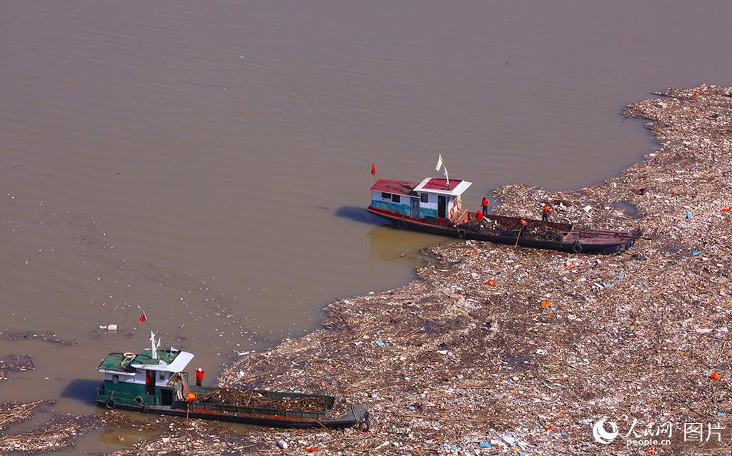 湖北宜昌：三峡大坝库区处理漂浮物