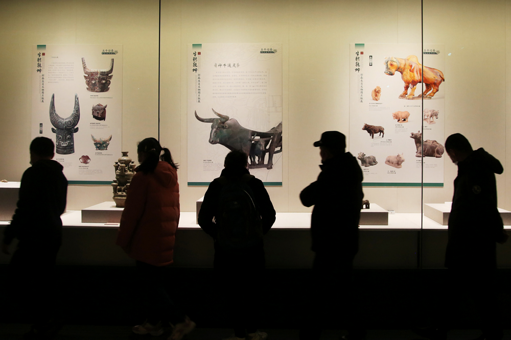 2月15日，游客在江蘇省常州市博物館參觀辛丑新春生肖文物聯展。新華社發（陳暐 攝）