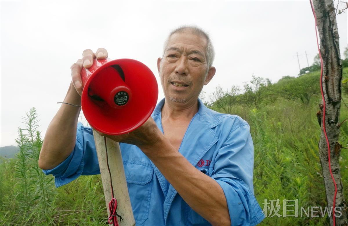 雨后，姜代學檢查玉米地里安裝的喇叭