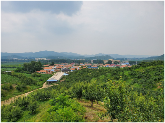 備案公司遼寧錦戰(zhàn)登記注冊地，遼寧鞍山前馬村