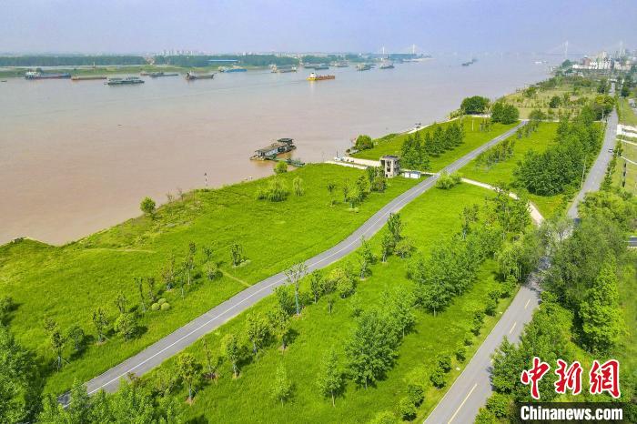 美丽的荆江大堤。　张梦瑶 　摄