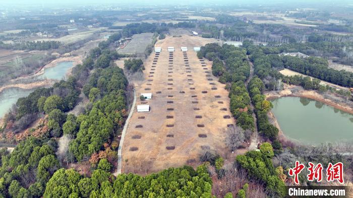 熊家冢主冢及殉葬墓。　周星亮 攝