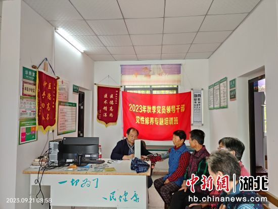 湖北省康复医院副院长、主任医师向连斌在村卫生室坐诊。冯德华 摄