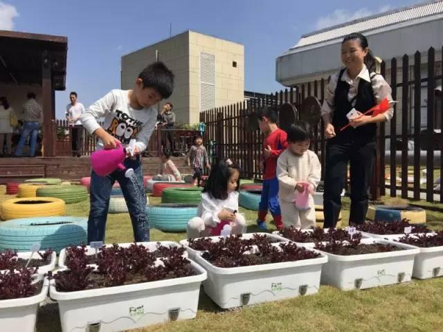 1200平田園山水 武漢鬧市竟然藏了這么一處秘密莊園 